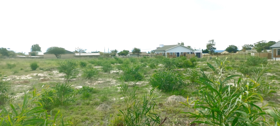0 Bedroom Property for Sale in Albertinia Western Cape